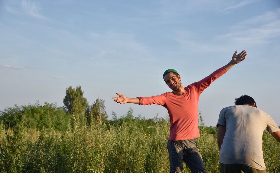 Autorem fotogalerie je Karolína Halířová, která jako dobrovolník působila v neoficiálních uprchlických táborech na srbsko-maďarské hranici. 