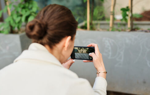 Přijmi výzvu a zviditelni sociální problém aneb YC Challenge