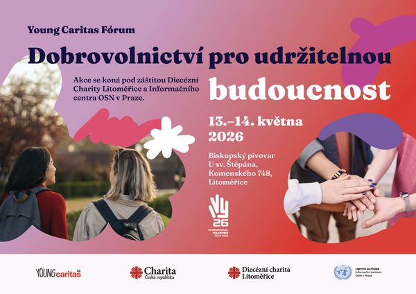 YCF-Final-Varianta-02