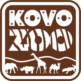 Další slosování se blíží