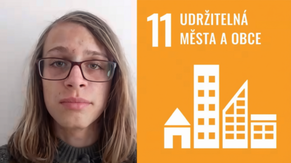 Bojovníci za čistotu